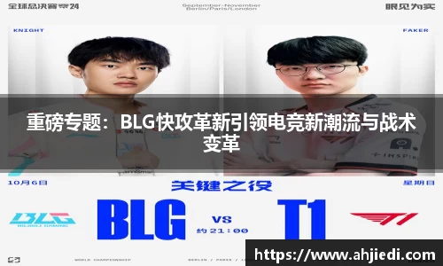 佰利乐平台