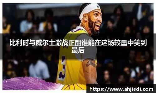 佰利乐登录入口